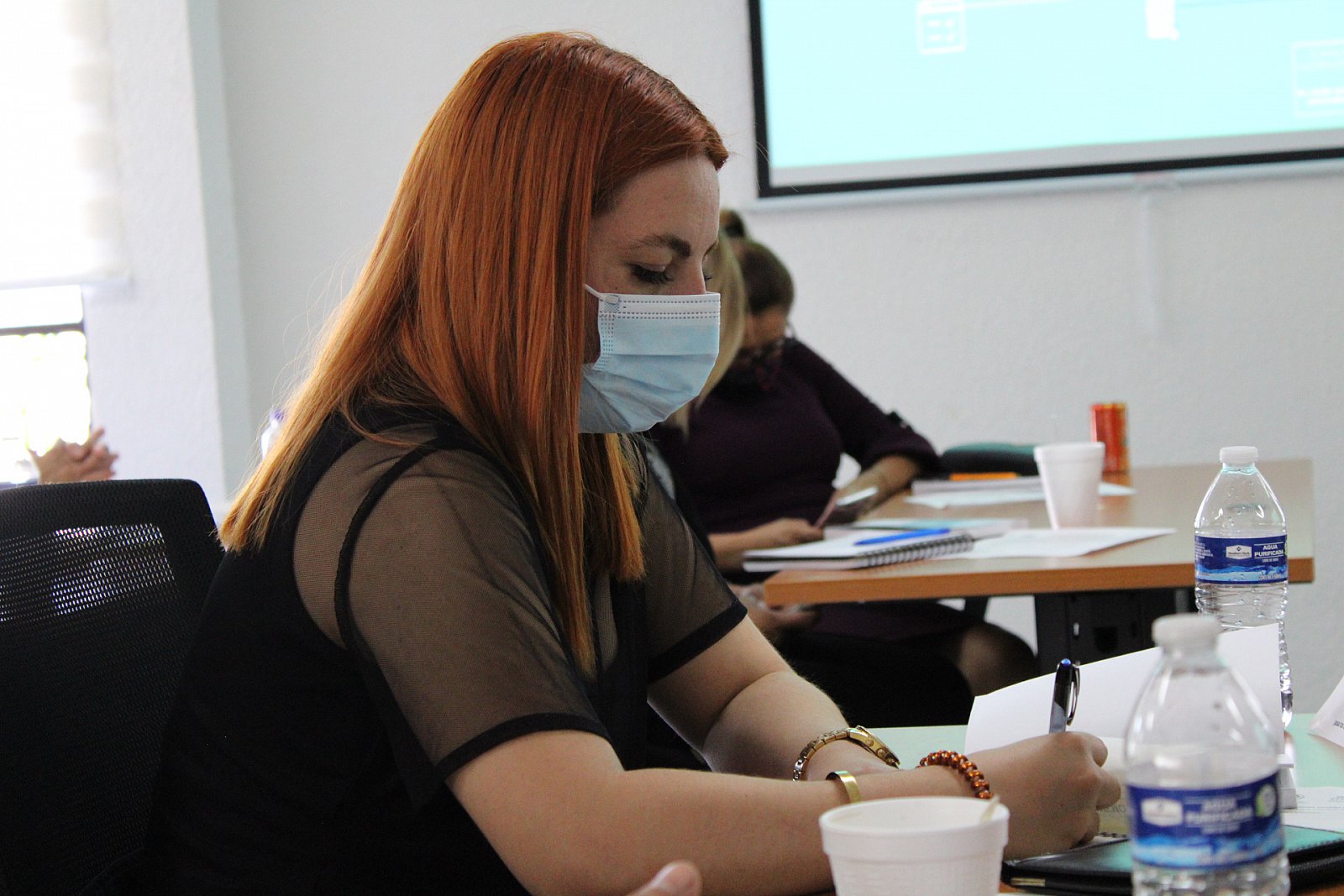 Taller "El papel de los Ayuntamientos en la implementación de la Plataforma Digital Estatal" (04/11/2021)