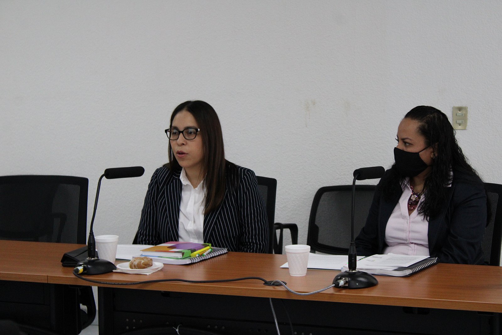 Reunión de Trabajo con Enlaces del Comité Coordinador del SEA (17/11/2021)