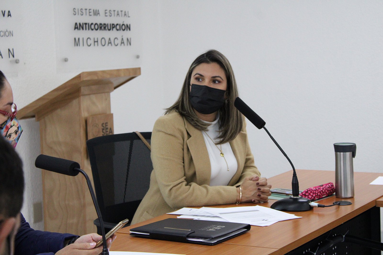 Reunión de Trabajo con Enlaces del Comité Coordinador del SEA (17/11/2021)