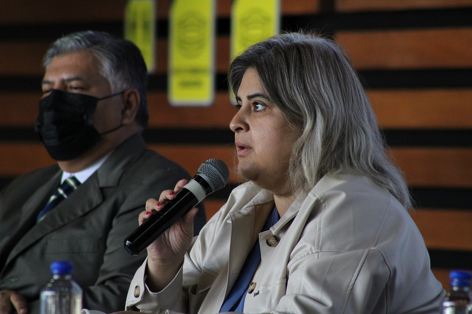 Jornadas Académicas. Panel Interinstitucional "Retos para el fortalecimiento del SEA en Michoacán (02/12/2021)