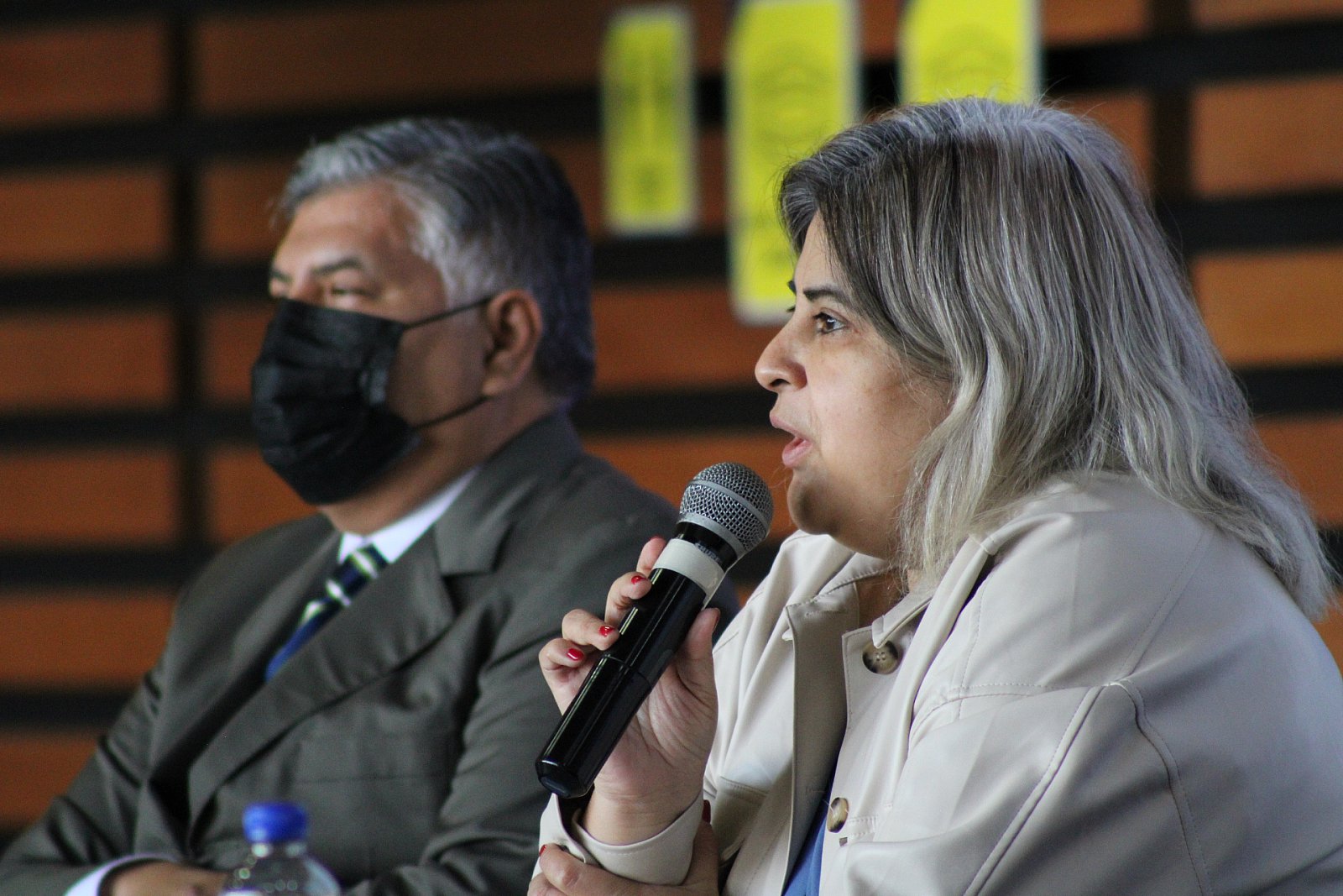 Jornadas Académicas. Panel Interinstitucional "Retos para el fortalecimiento del SEA en Michoacán (02/12/2021)