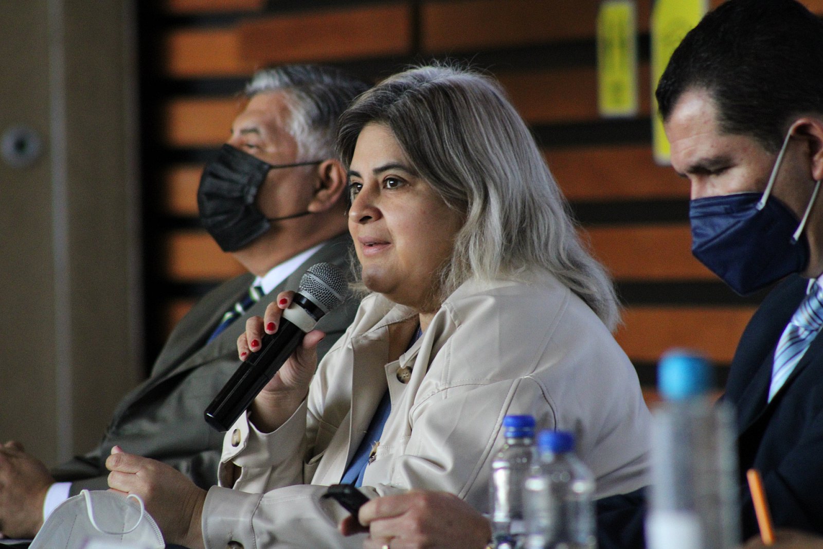 Jornadas Académicas. Panel Interinstitucional "Retos para el fortalecimiento del SEA en Michoacán (02/12/2021)