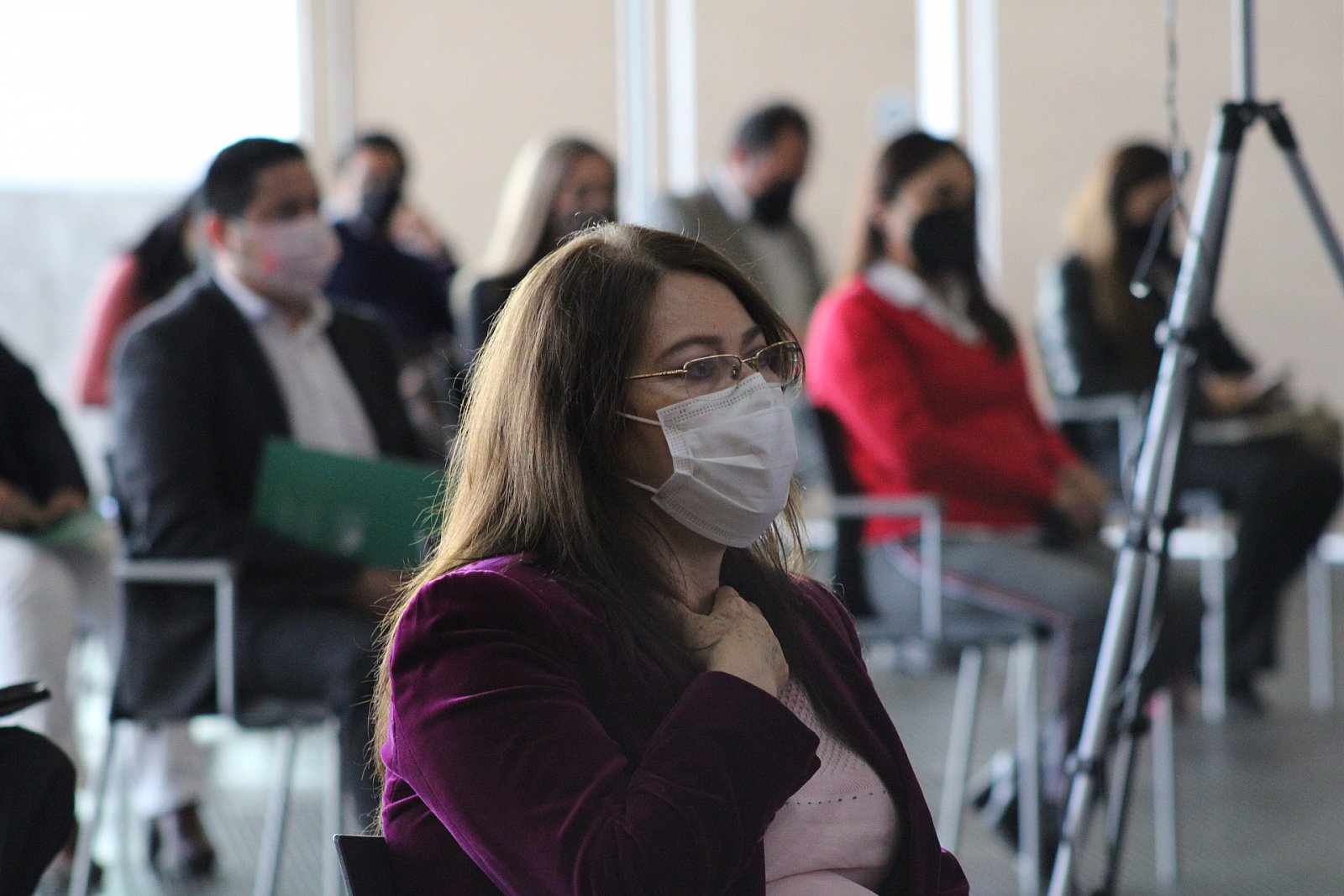 Jornadas Académicas. Panel Interinstitucional "Retos para el fortalecimiento del SEA en Michoacán (02/12/2021)
