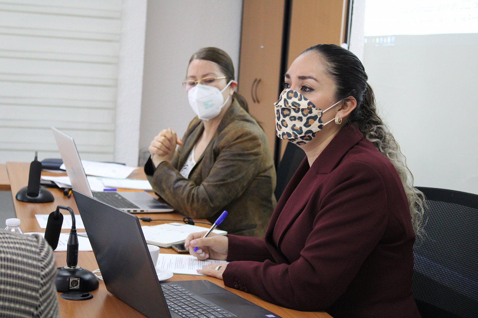 Reunión de Trabajo con Enlaces del Comité Coordinador del SEA (17/01/2022) 