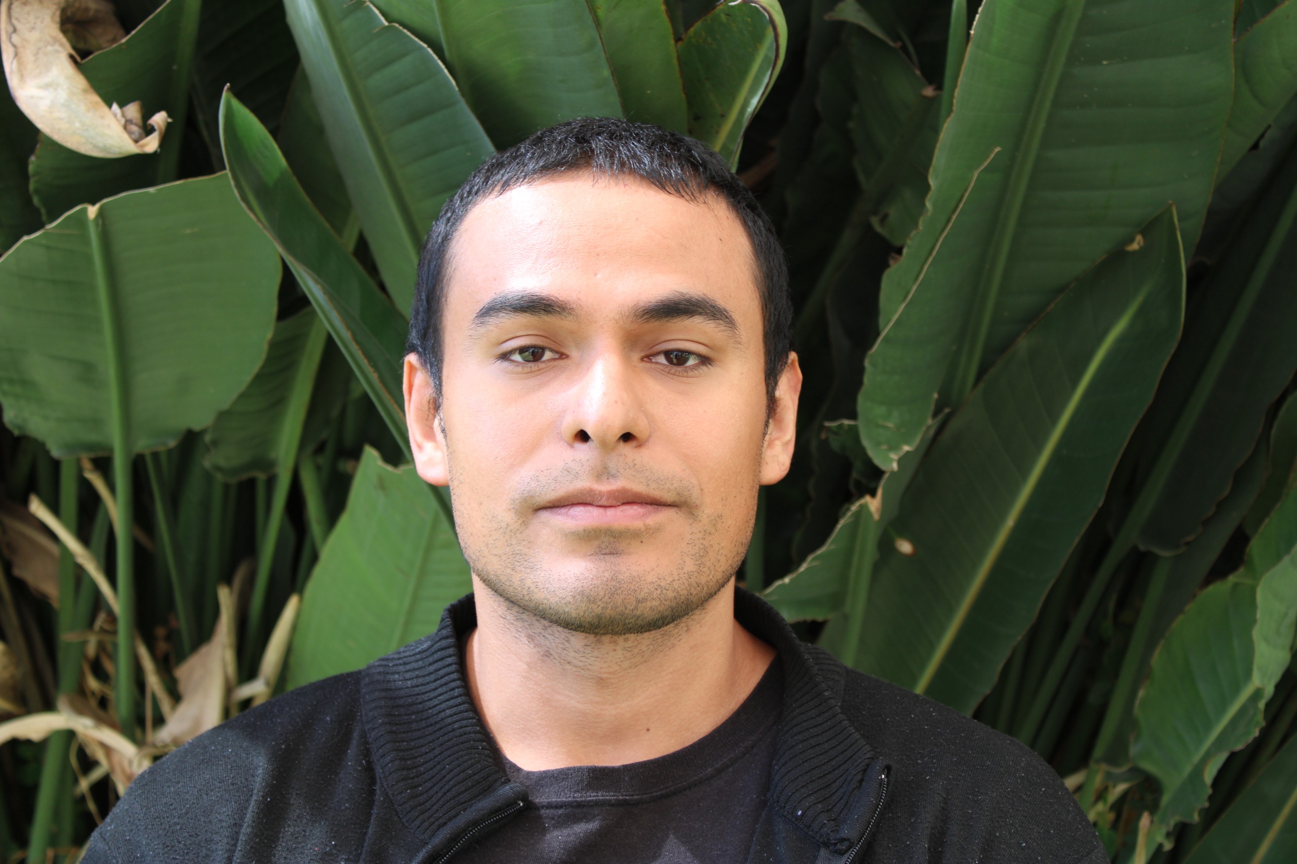 Ing. Marco Antonio Mercado Rodríguez